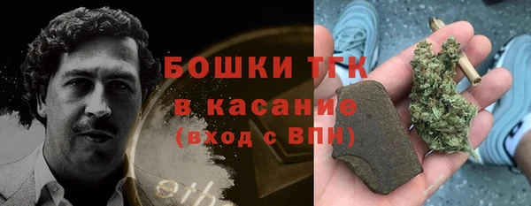 стаф Вяземский