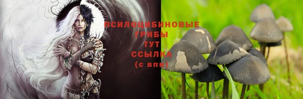 амф Горняк