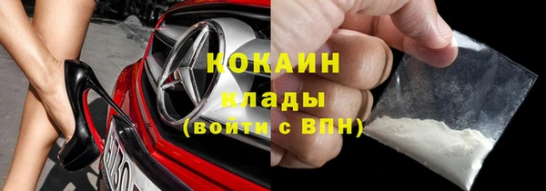 амф Горняк