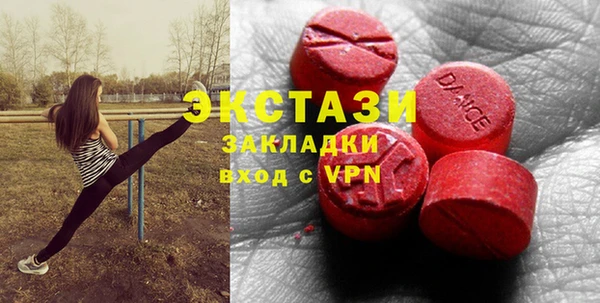индика Вязьма