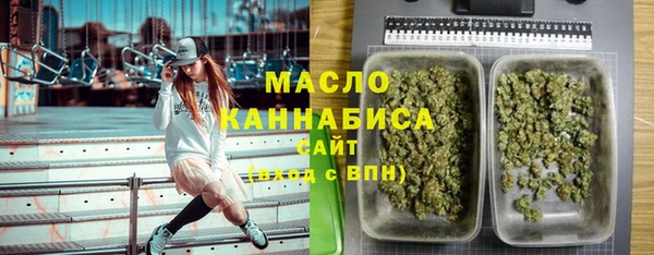 амф Горняк