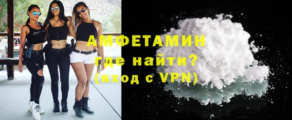 амф Горняк