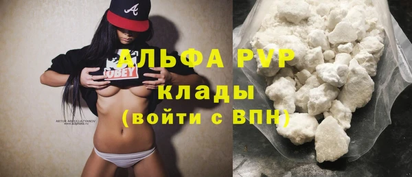 амф Горняк